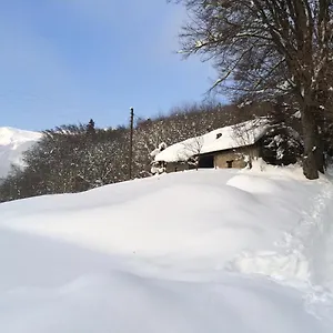 Chalet Chalet Entre Lacs Et Montagnes, Plancherine